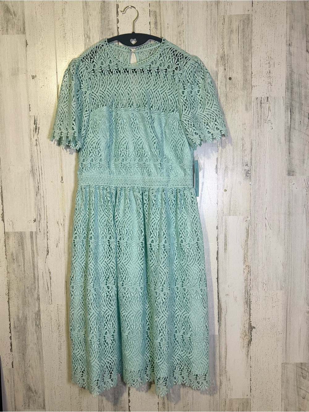 NWT Antonio Melani Mint Green Lace Midi Dress Size 8 - Picture 2 of 14